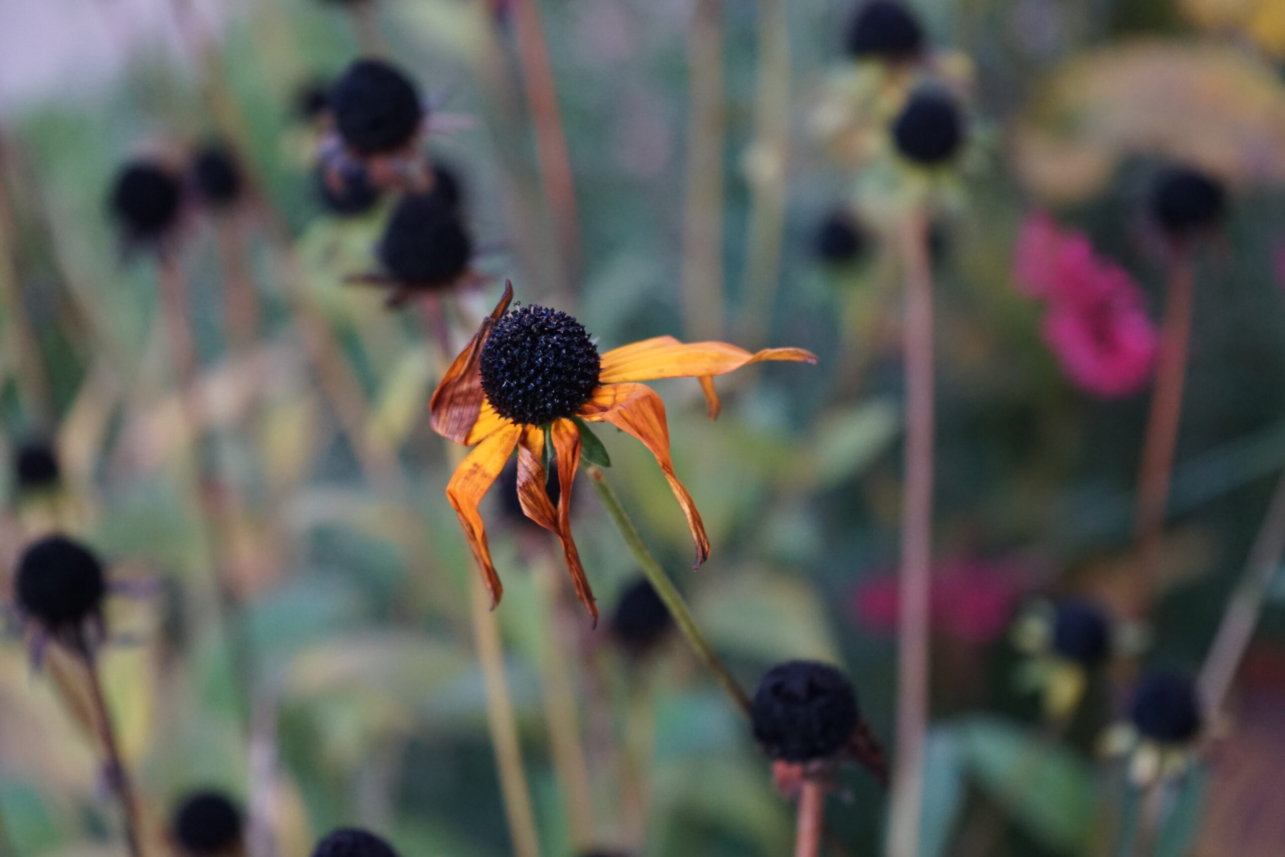 Design inspiration from the seasons: autumn